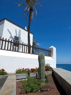 White house next to a cactus and a palm tree, with flowers and a blue sky in the background, puerto