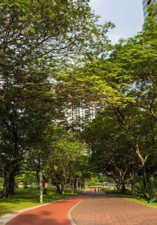 City park with large trees and a brick walkway