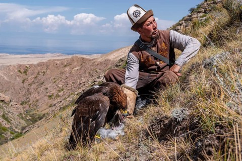 Traditional Kyrgyz eagle hunter hunting with prey, near Kysyl-Suu, Issyk Kul, Kyrgyzstan, Asia