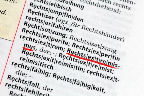 Symbolic image of right-wing extremism, excerpt from the dictionary