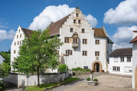 Flower field Castle in Hegau, Tengen, district of Constance, Baden-Württemberg, Germany, Europe
