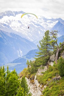 Paragliding over an impressive mountain landscape with snow-covered peaks and green fir trees,