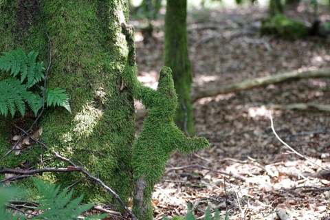 Forest, Moss, Figure, Fantasy, Gnome, On a tree trunk stands a fantasy figure overgrown with moss