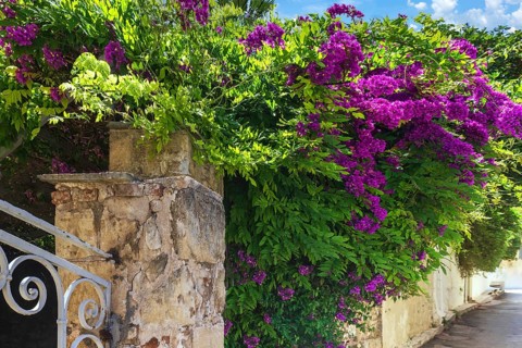 Greece, historic neighborhood of Plaka and Anafiotika in Athens with restaurants near Acropolis,