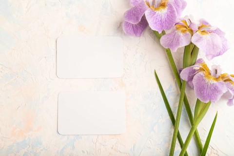 White business card with lilac iris flowers on white concrete background. top view, flat lay, copy