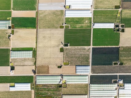 Cultivated fields in the semi rural district of La Algaida next to Sanlúcar de Barrameda. Aerial
