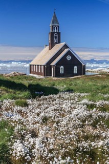 Church in front of blue sky and icebergs, cotton grass, summer, Zion's Church, Jakobshavn Glacier