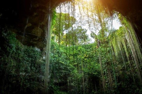 Ik Kil Cenote located in the northern center of the Yucatan Peninsula, a part of the Ik Kil