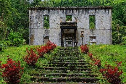 An abandoned ruined building in the middle of a wooded area, an overgrown stone staircase leads up,