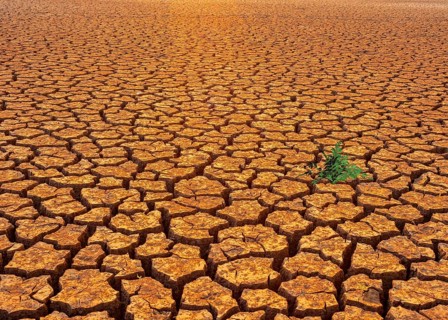 Symbolic image, water shortage, water emergency, global drought, climate crisis, climate change,