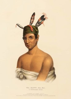 Wa-Kawn-Ha-Ka, A Winnebago Chief (1841), Native American, Historical Native American tribes from