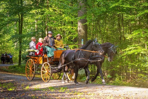 Presentation and route ride, all carriages in stylish tension, popular sporting event over approx.