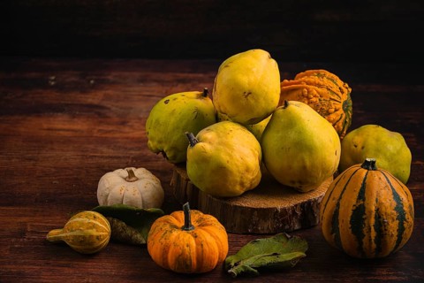 Still life with pumpkins and quinces on a wooden table, autumnal atmosphere