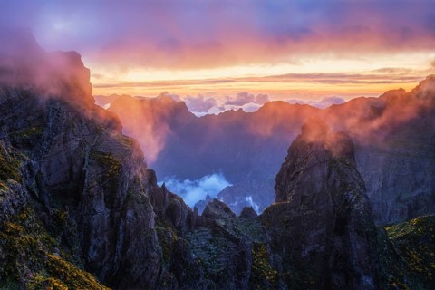 Mountains on sunset covered in fog and clouds with blooming Cytisus shrubs. Near Pico de Arieiro,