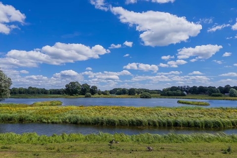 Steinhorst Basin, nature reserve, nature, Ems, tourism, landscape, Delbrücker Land, Steinhorst,