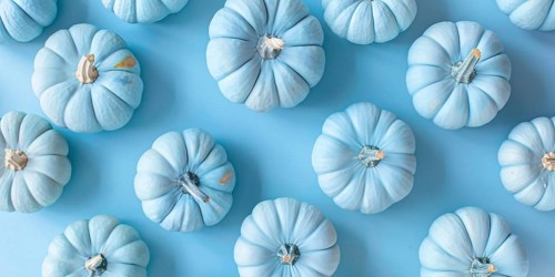 Banner with small pastel blue decorative pumpkins on blue background. Generative Ai, AI generated