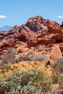 Rock formations along the Fire Canyon Overlook Trail at Valley of Fire State Park near Overton,