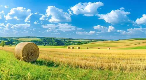 A field of golden wheat with a large hay ball in the foreground, AI generated