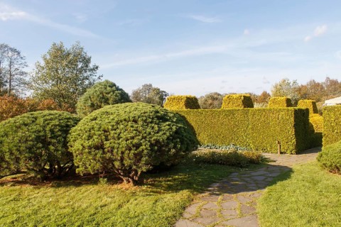 Cottage garden with green lawn, trees, hedges, trimmed bushes and large mountain pines. Modern