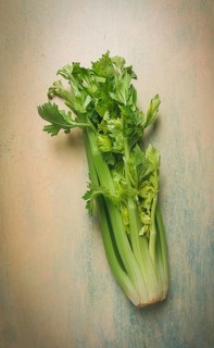 Fresh bunch of celery, top view, no people