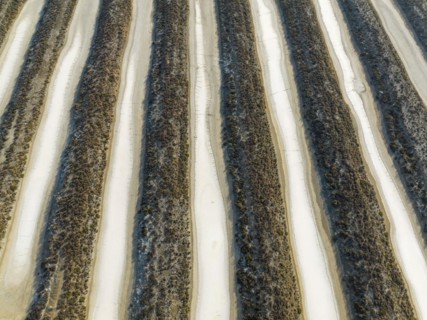 Saline ponds at the salt works near Chiclana de la Frontera. Aerial view. Drone shot. Cádiz
