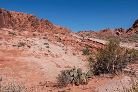 Layered rock formations along the Fire Wave Trail at Valley of Fire State Park near Overton, Nevada