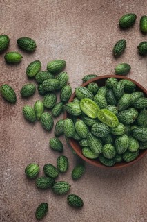 African cucumber, Mexican cucumber, mouse melon, Melothria