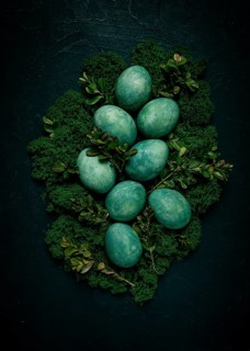 Easter eggs, green, moss, boxwood, top view, no people, green eggs