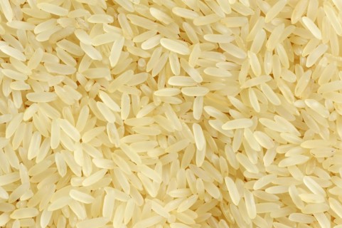 Rice (Oryza sativa), rice grains