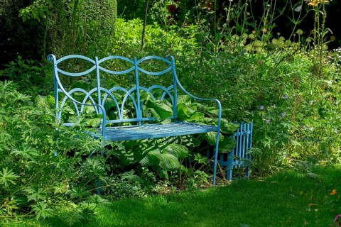 Blue bench in the district educational garden, Burgsteinfurt, Steinfurt, Münsterland, North