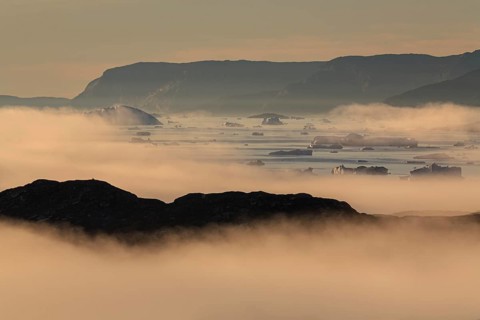 Icebergs and ice floes reflected in the water, fog, summer, midnight sun, Jakobshavn glacier and