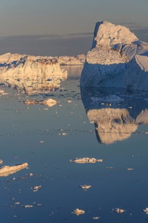 Icebergs and ice floes reflected in the water, summer, midnight sun, Jakobshavn glacier and ice