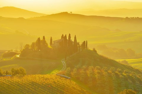 A beautiful countryside scene with rolling hills bathed in golden morning light, featuring a