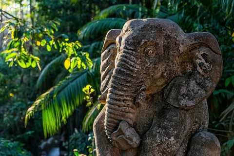 Elephant figure, stone, elephant, statue, temple, religion, sculpture, architecture, temple figure,