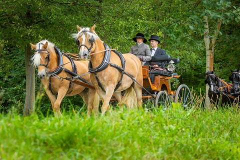 Presentation and route ride, all carriages in stylish tension, popular sporting event over approx.