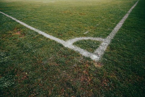 Lawn of a football pitch with marking lines, empty atmosphere, corner of the football pitch