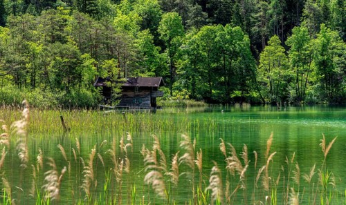 Landscape at Lake Thumsee, Bad Reichenhall, Bavaria, Germany, Europe