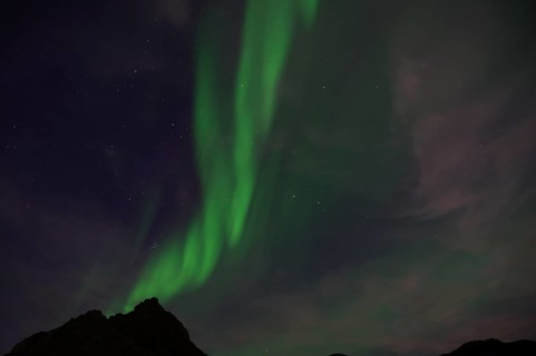 Green auroras over a dark mountain top in front of a sky covered with stars, winter, Nyksund,