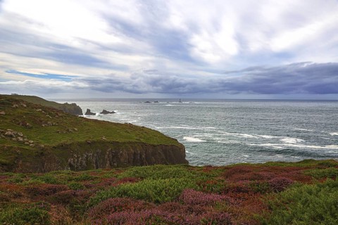 Cliffs with heather in the foreground, behind them the rough sea and cloudy sky Land's End,