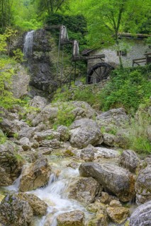 Stream, mill wheel and waterfall at the old mill, Tramonti di Sopra, province of Pordenone, Italy,