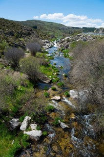 River with rocks and vegetation in a green valley under a blue sky with clouds and mountains,
