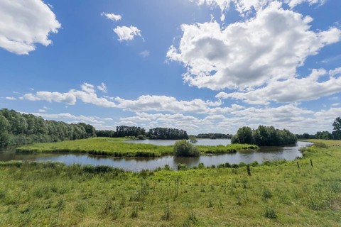 Steinhorst Basin, nature reserve, nature, Ems, tourism, landscape, Delbrücker Land, Steinhorst,