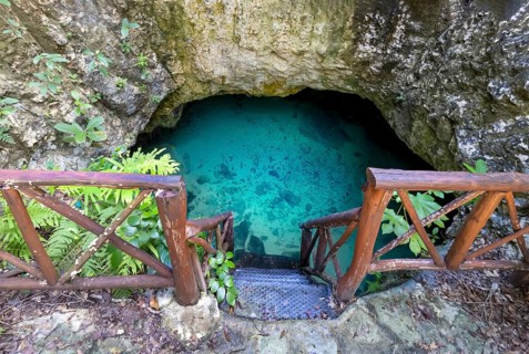 Scenic Cenote Casa Tortuga near Tulum and Playa Del Carmen, a popular tourist attraction for local