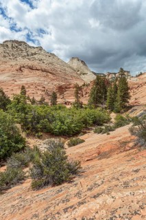 Patterns of erosion on the rock formations in Zion National Park, Utah