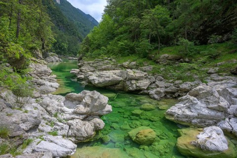 Emerald green river Pozze Smeraldine, Tramonti di Sopra, Province of Pordenone, Italy, Europe