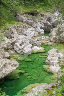 Emerald green river Pozze Smeraldine, Tramonti di Sopra, Province of Pordenone, Italy, Europe