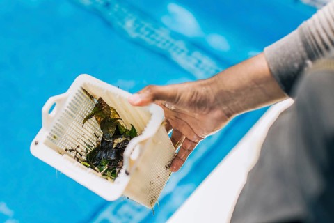 Hand holding swimming pool filter basket. Man cleaning garbage filter basket for swimming pool