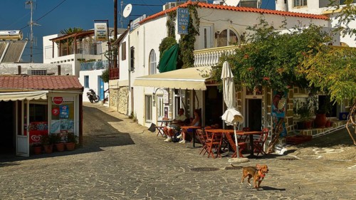 Cosy street with a café and shops, surrounded by white buildings, patio furniture and a dog running