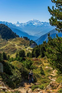 Hiking on the Moranenweg, Riederalp, tourism, hiking, hike, blue sky, Matterhorn, Aletsch Arena,