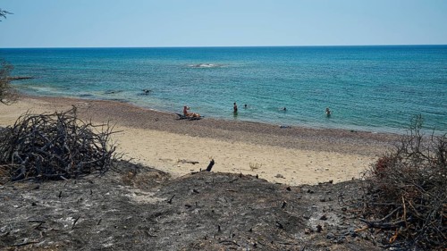 Beach scene with people in the sea, surrounded by burnt vegetation at the edge, a contrast between